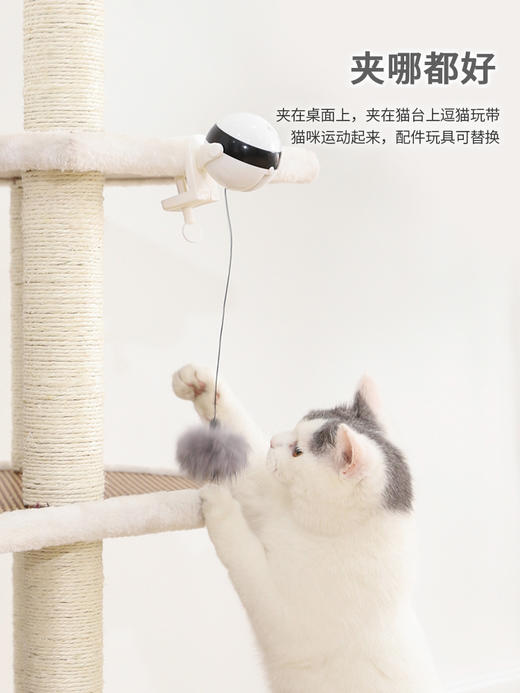 伊丽yoyo夹子逗猫玩具电动猫玩具