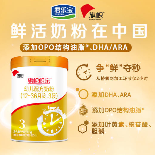 (6罐装)君乐宝旗帜帜亲黄罐奶粉 3段800g 适合12-36个
