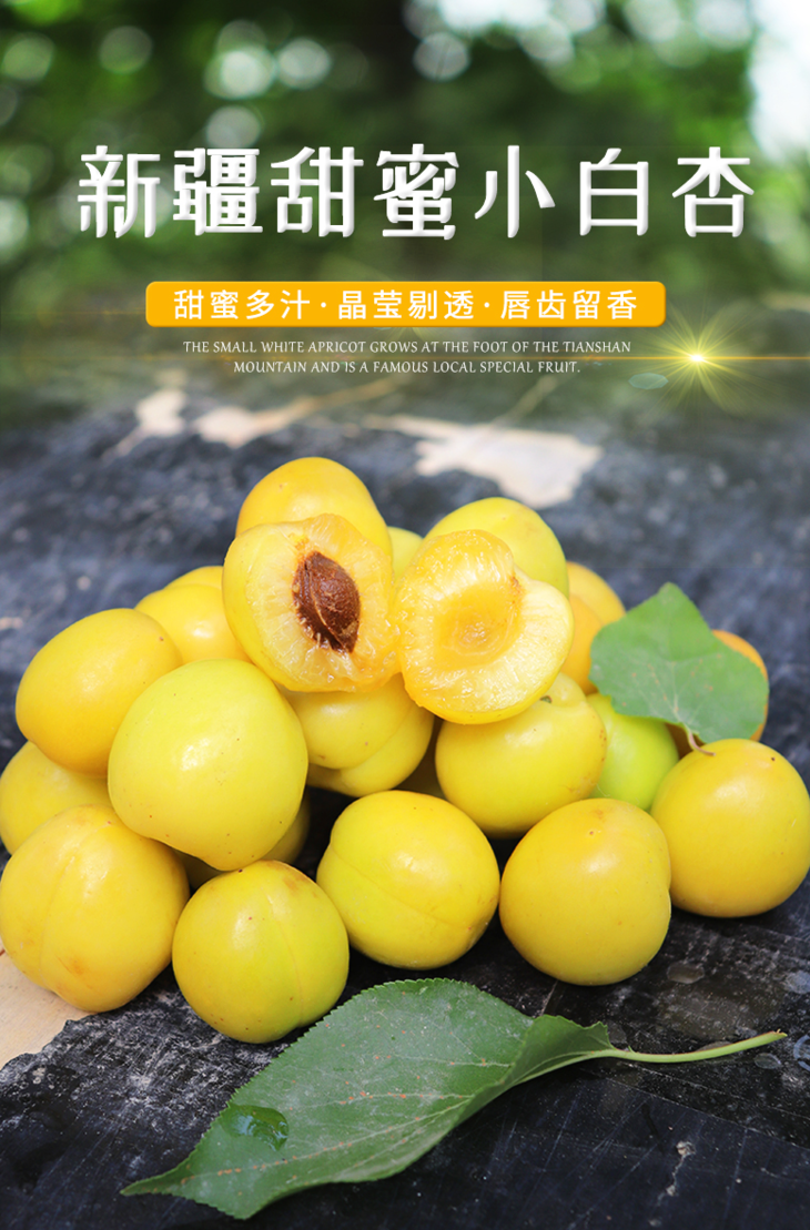 【预售/树上蜂蜜】库车小白杏 3.5斤/108元 甜蜜来袭