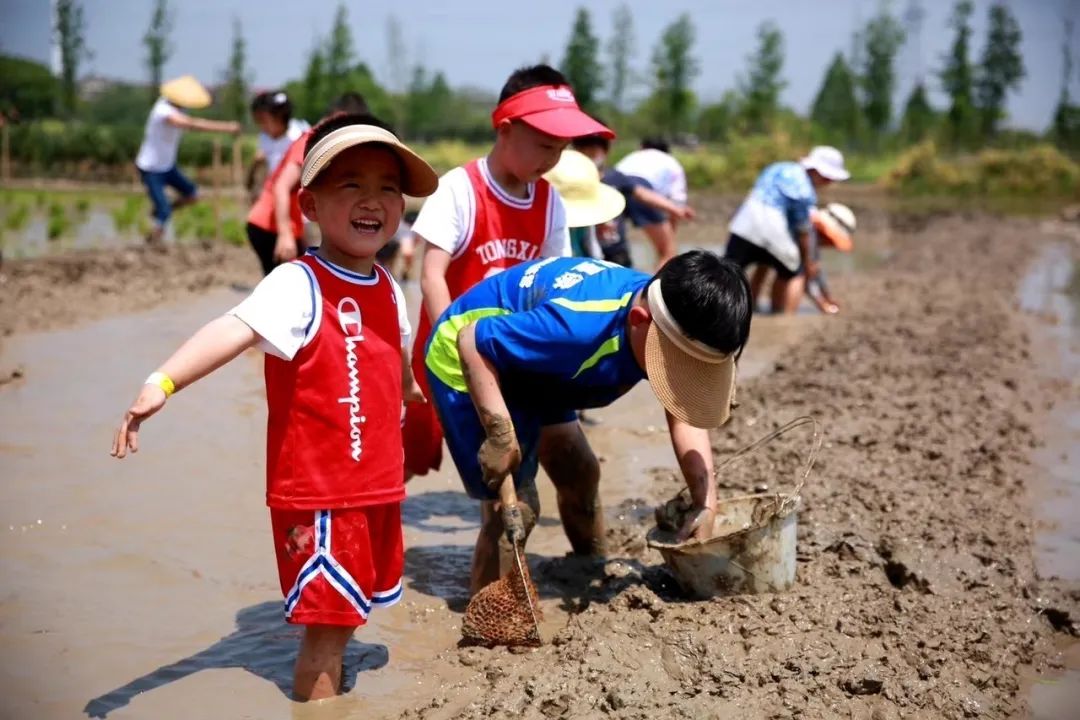 小起点x兰里研学国际营地插秧捉泥鳅体验