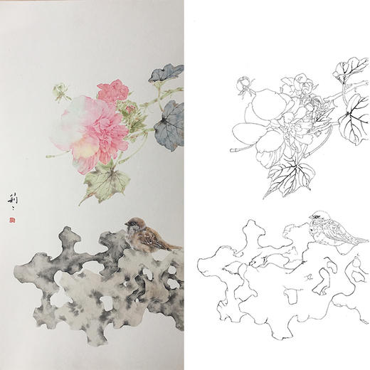 张莉莉竖幅没骨画工笔花鸟白描底稿za15