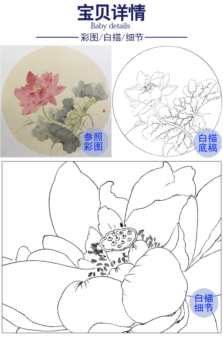 张莉莉没骨画工笔花鸟小品白描底稿za27