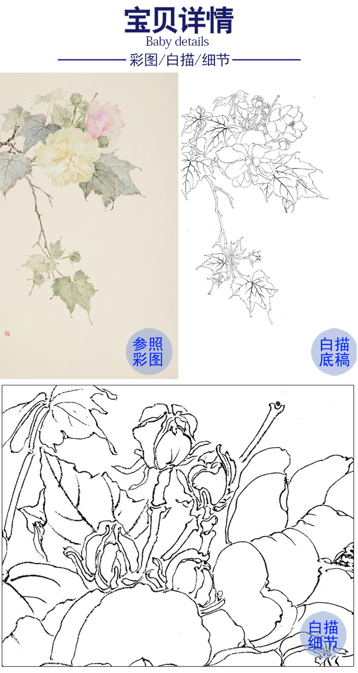 张莉莉竖幅没骨画工笔花鸟白描底稿za21