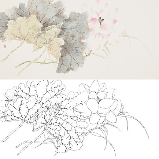 张莉莉横幅没骨画工笔花鸟白描底稿za11