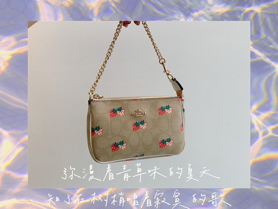 蔻驰草莓麻将包