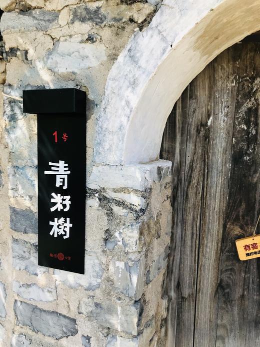 【河北保定】青籽树|睡进北方的山川稻浪里,与百年古树相守【bw】
