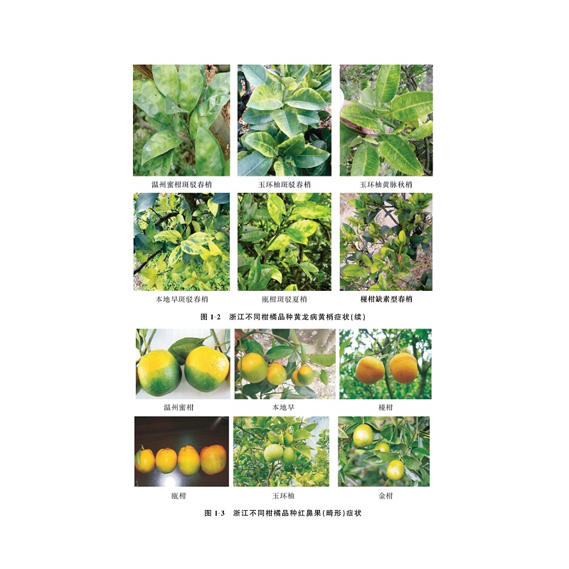 试读PDF-9787308189811(1-1)-柑橘黄龙病流行学及监测预警控制_004.jpg