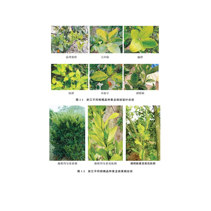 试读PDF-9787308189811(1-1)-柑橘黄龙病流行学及监测预警控制_003.jpg
