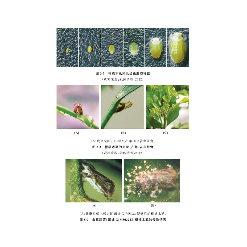 试读PDF-9787308189811(1-1)-柑橘黄龙病流行学及监测预警控制_006.jpg