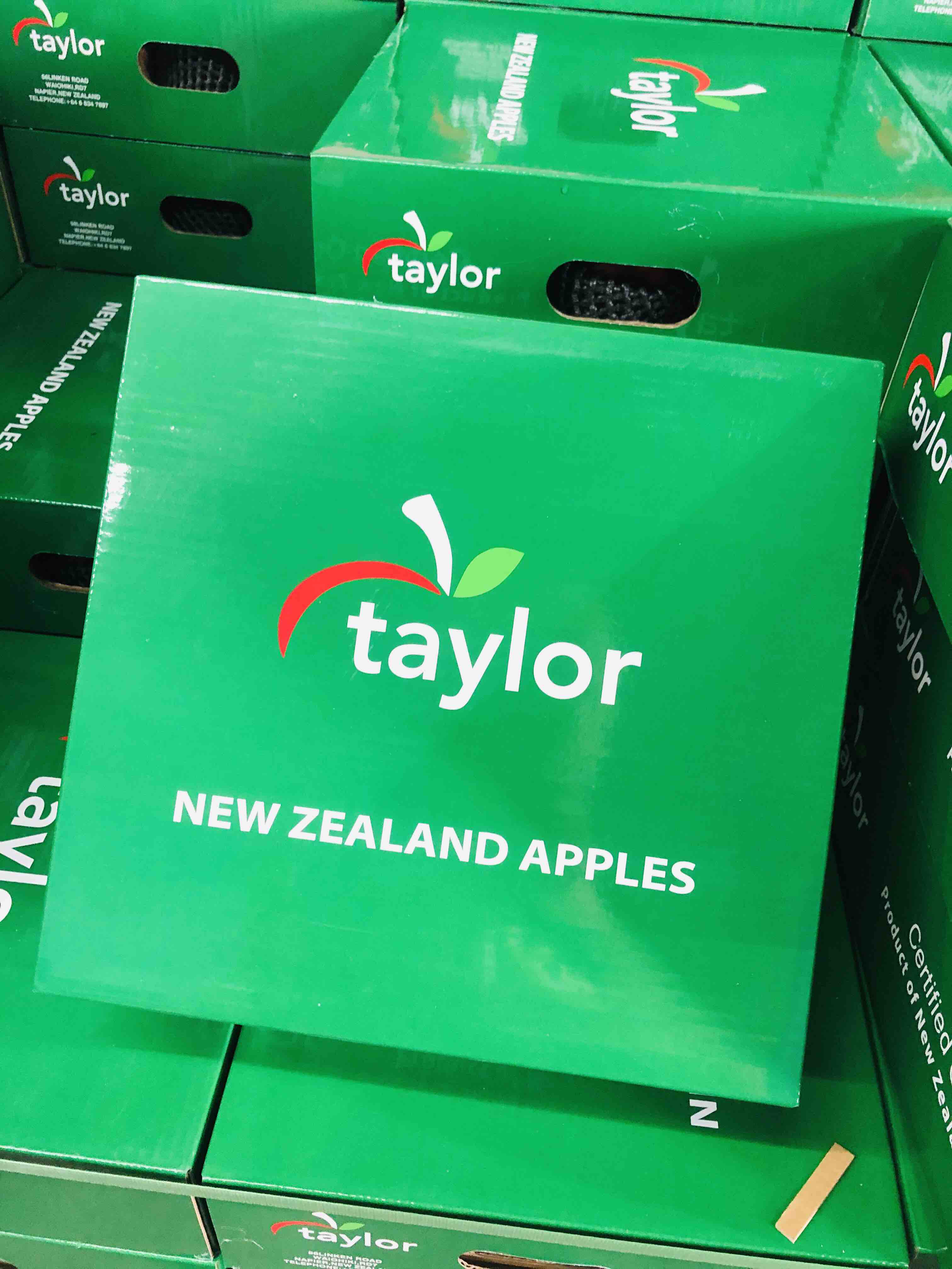 红玫瑰苹果新西兰红玫瑰taylor苹果绿色礼盒装12只盒