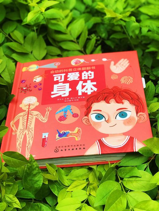 《可爱的身体(s)