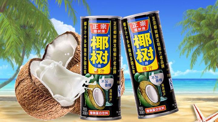 椰树牌椰汁245ml*24听(仅支持单位团购,不支持个人购买)hl