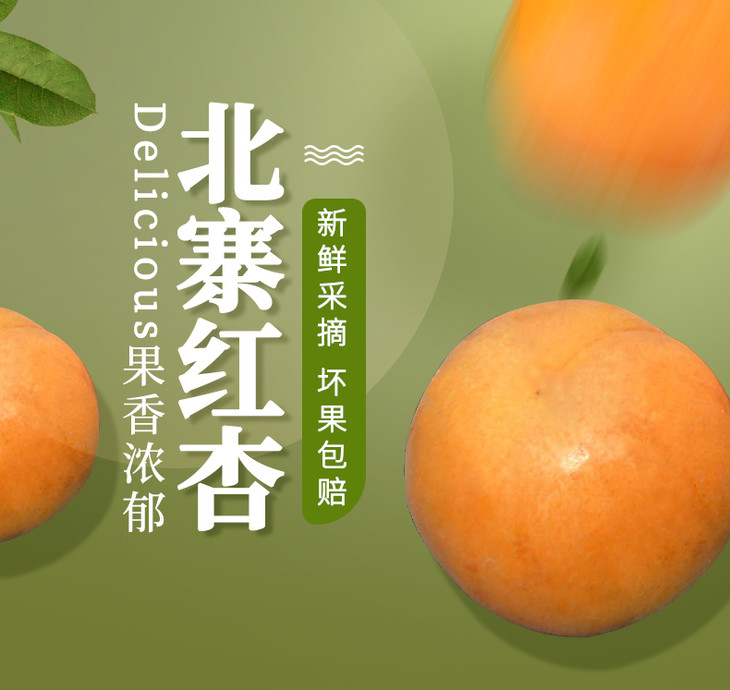 北京平谷北寨红杏新鲜水果大杏子黄酸甜杏当季约5斤包邮礼盒装 黔邮