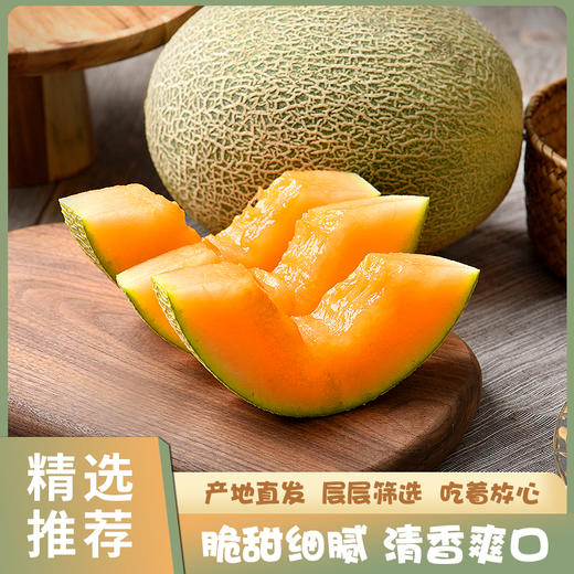 山东晓蜜25号哈密瓜皮薄肉厚脆甜多汁清甜爽口新鲜采摘带箱约8斤包邮