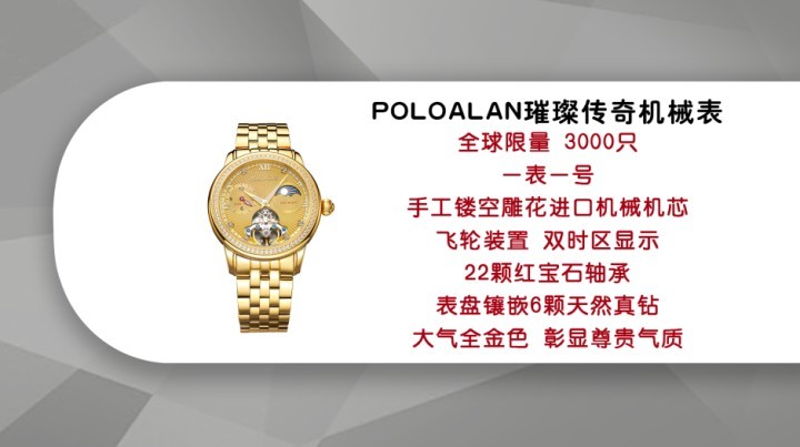 poloalan璀璨传奇机械表