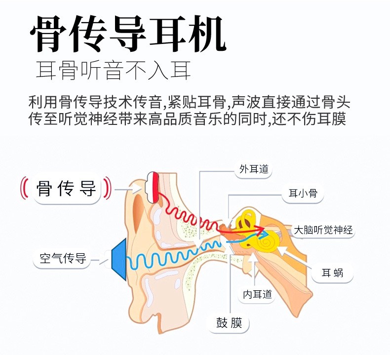 O1CN01dsZLIW1ipBRyU8sgn_!!155504461.jpg