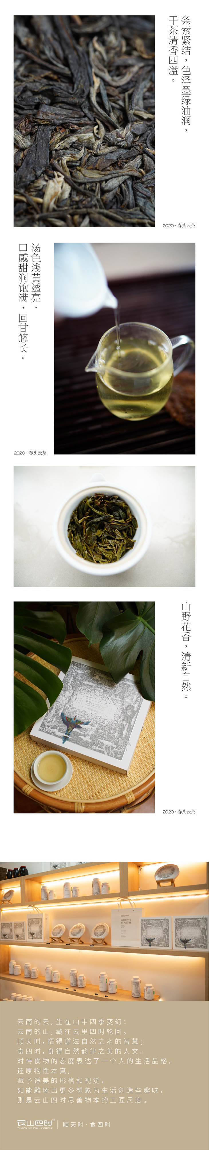 云山四时丨"春头云茶" 纸山箐2020春 普洱茶生茶(紧压茶)357g 礼盒装