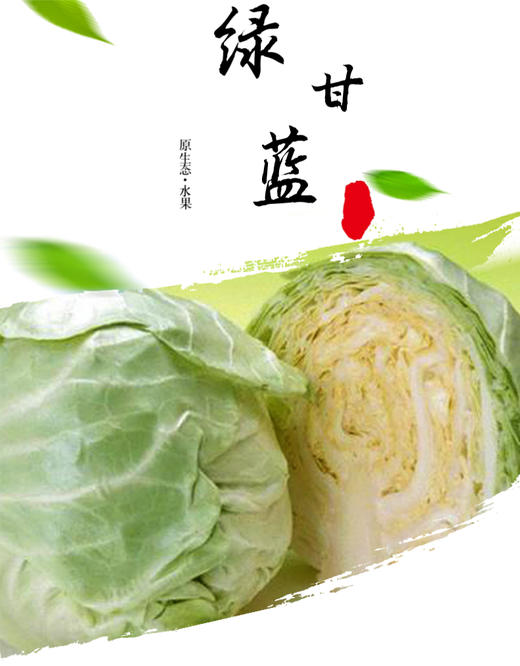 精品包菜650g50g