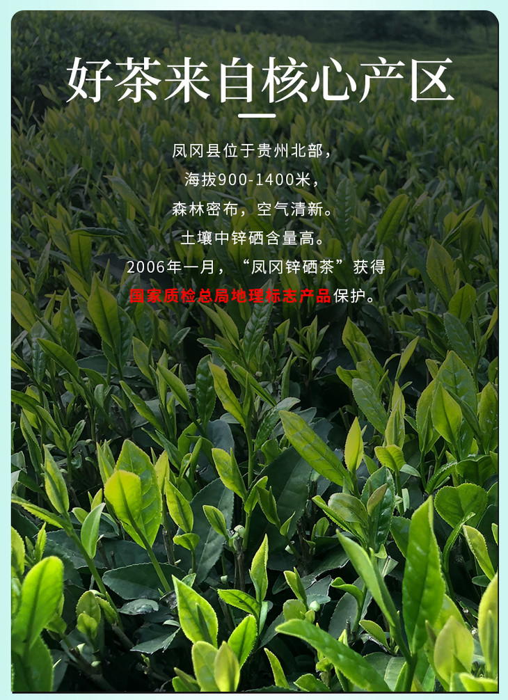 永田露 遵义凤冈 凤冈锌硒茶(翠芽)120g/盒