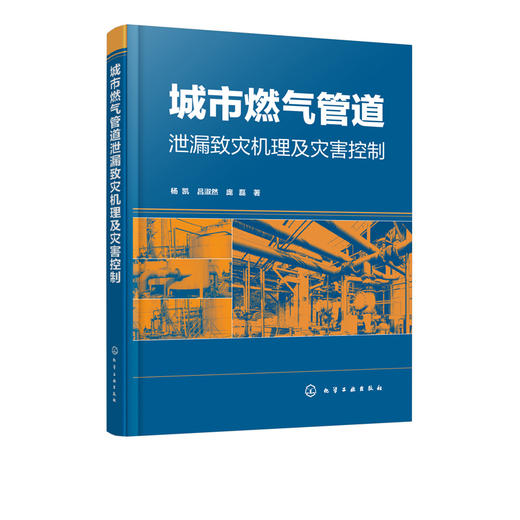 城市燃气管道泄漏致灾机理及灾害控制杨凯城市燃气管道事故处理技术书