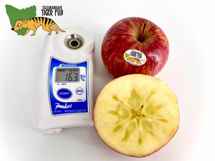 塔斯马尼亚岛tigerfuji苹果富士苹果的一种脆嫩清甜爆汁香味浓郁