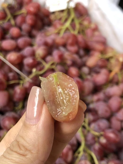 周四秒杀:澳洲无籽红提!色泽鲜嫩,皮薄肉嫩,肥厚多汁,果味浓郁!