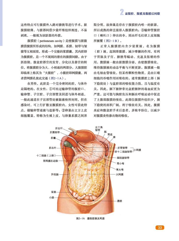 妇产科临床解剖学第2版