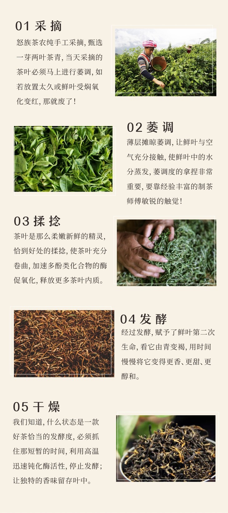 云怒红茶云南怒江州老姆登高海拔红茶