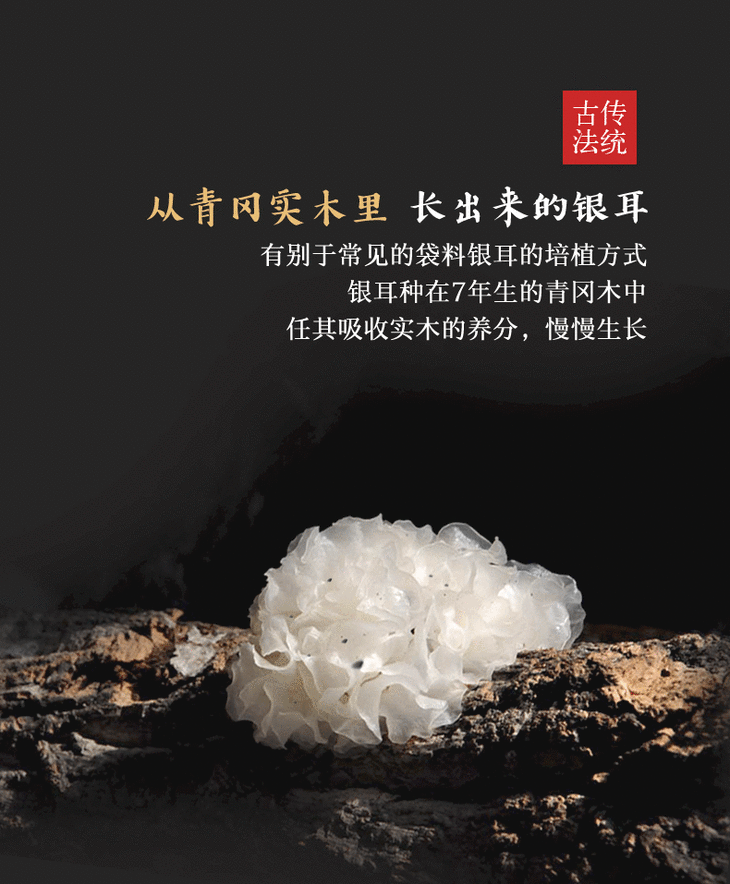 同仁堂通江银耳礼盒80g