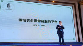市青联常委刘明心 | 农产品电商的“镇域”实验