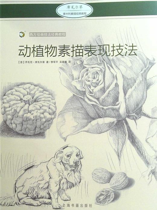 动植物素描表现技法