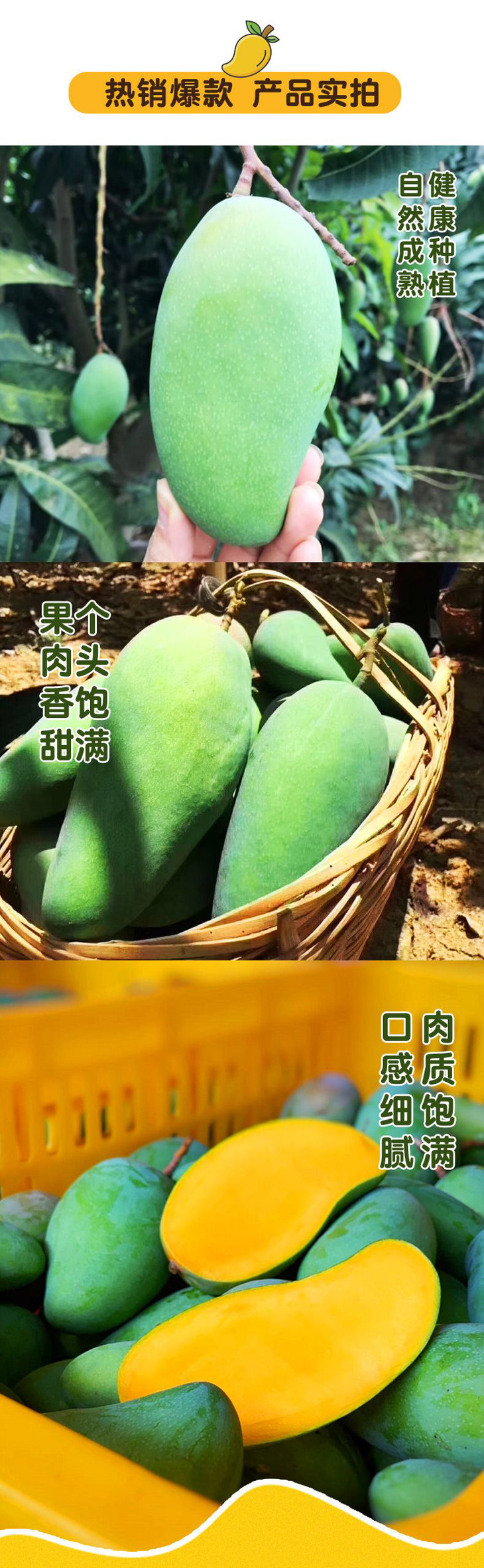 攀枝花大金煌芒果85斤