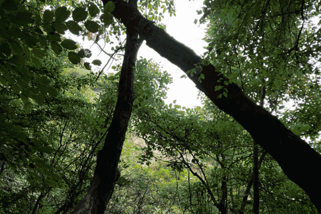 河青趣哪儿丨太行崖居 自助烧烤 荧光diy 仙台山富氧之旅