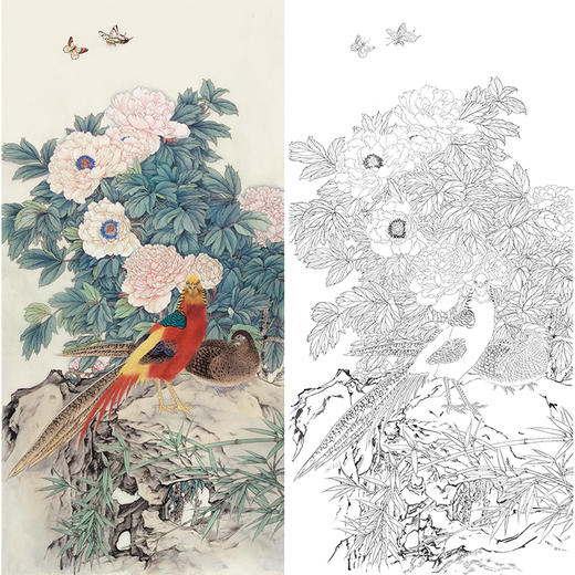 【有步骤】陈军工笔画白描底稿锦鸡牡丹《锦羽国色》多种白描尺寸和