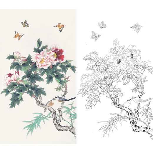 【有步骤】陈军工笔画白描底稿牡丹图四尺多种白描尺寸可选cj11