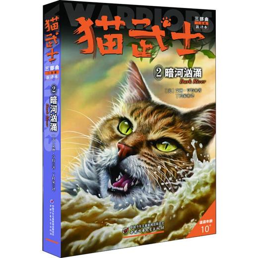 猫武士三部曲 2 暗河汹涌