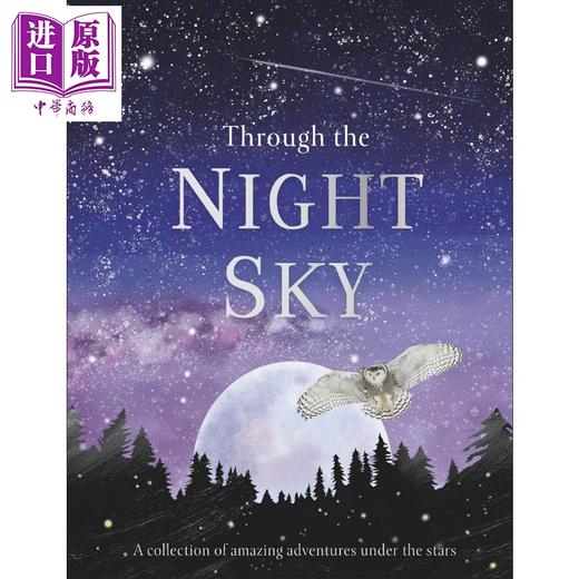 预售【中商原版】dk through the night sky 夜空观星