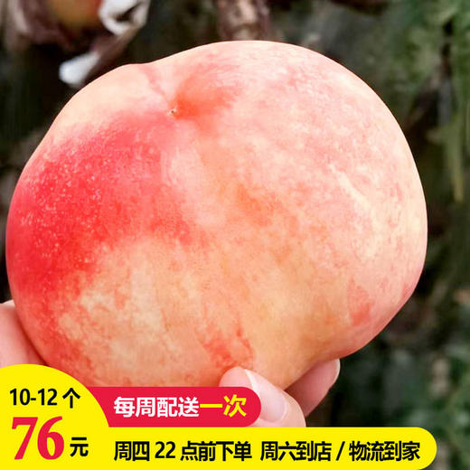 嘉兴凤桥水蜜桃礼盒装约35kg