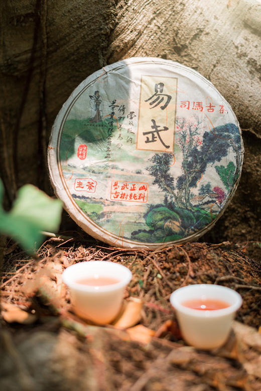 倚邦茶马司~司马古茶 2010年 易武古树茶 普洱生茶