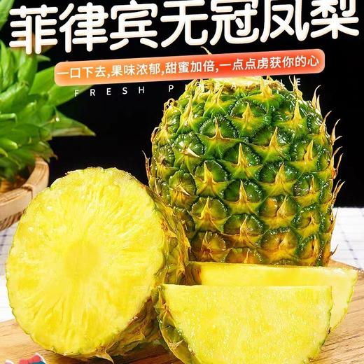 菲律宾进口新鲜无冠凤梨一个约1802斤