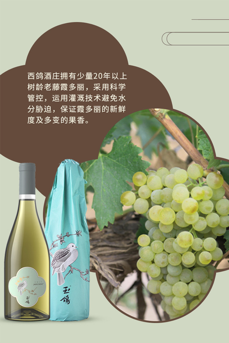 玉鸽单一园霞多丽干白葡萄酒iwc评分91分白葡萄酒中的高分葡萄酒中国