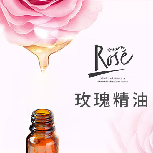 absolute rose玫瑰精油 特级玫瑰萃取 雪颜美肌 抗衰老 美白淡斑 促进