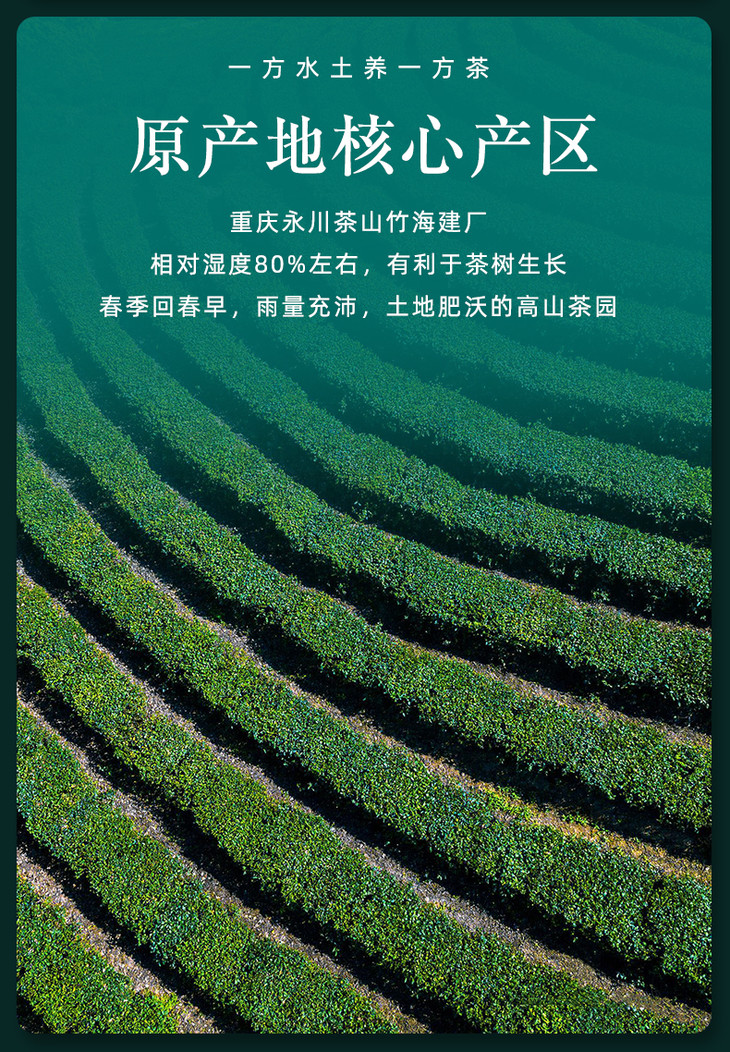 2021新茶重庆特产茶叶永川秀芽阅山水礼盒200g毛峰类绿茶明前新茶