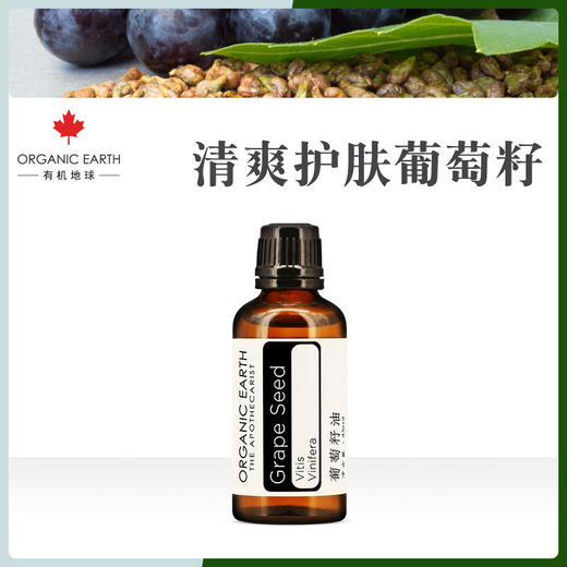 清爽抗氧葡萄籽油温和卸妆公平贸易grapeseedbaseoilfairtrade