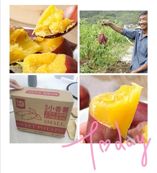 【精品秒杀】新鲜临安天目山小香薯3斤红薯正宗板栗番薯迷你金手指瓜