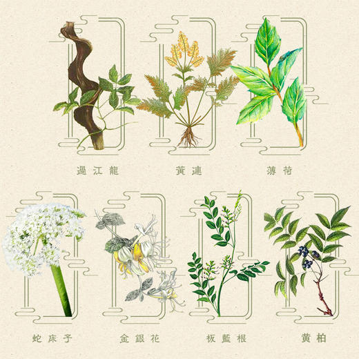 九味药草中药浓缩液泡脚液脚气脚痒脚臭脚汗清热燥湿清爽提神醒脑