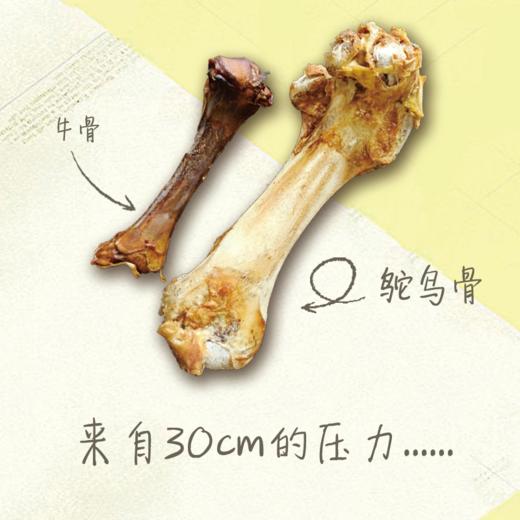 暴走鸵鸟大棒骨腿骨冻干主食冻干