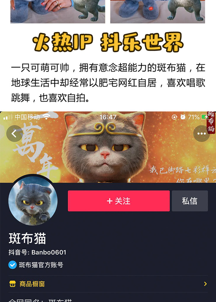 0902抖音网红可爱好玩斑布猫抖喵