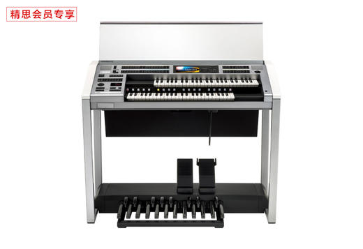 yamaha雅马哈成人家用 els02c 双排键电子琴