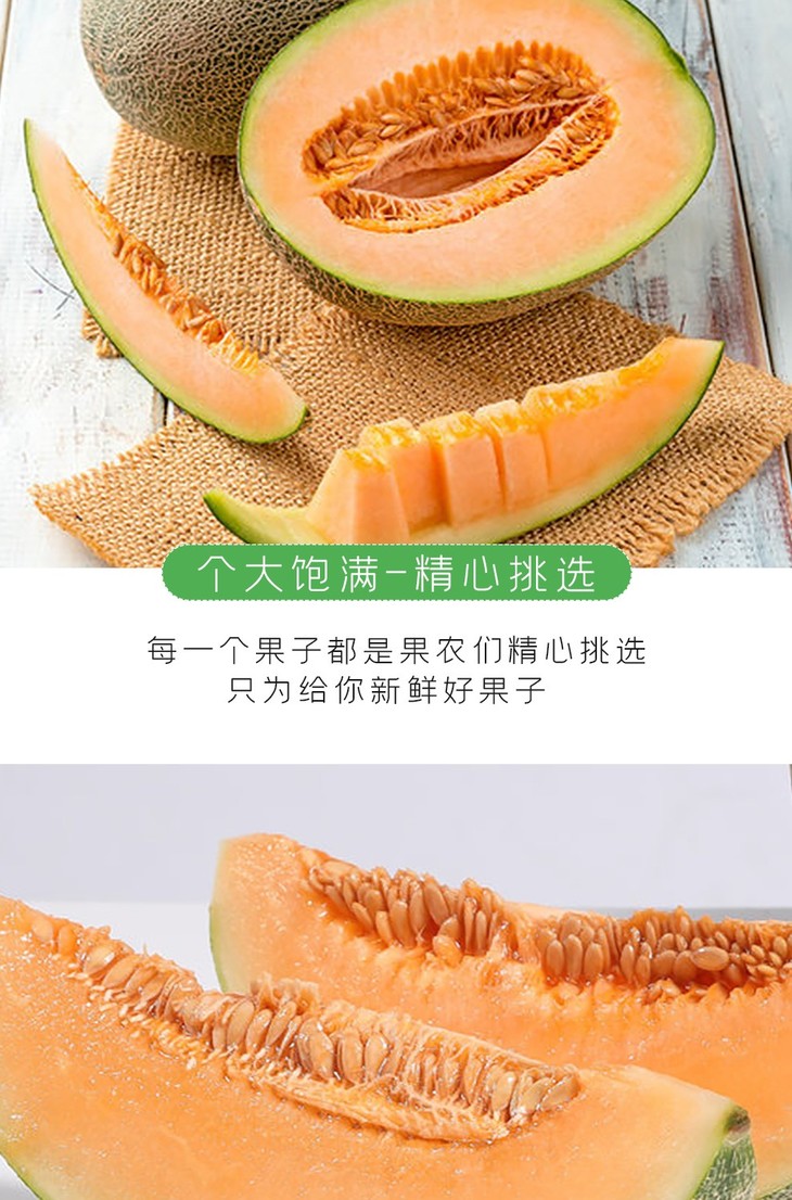 都知果蜜瓜皮薄肉厚香甜爽口